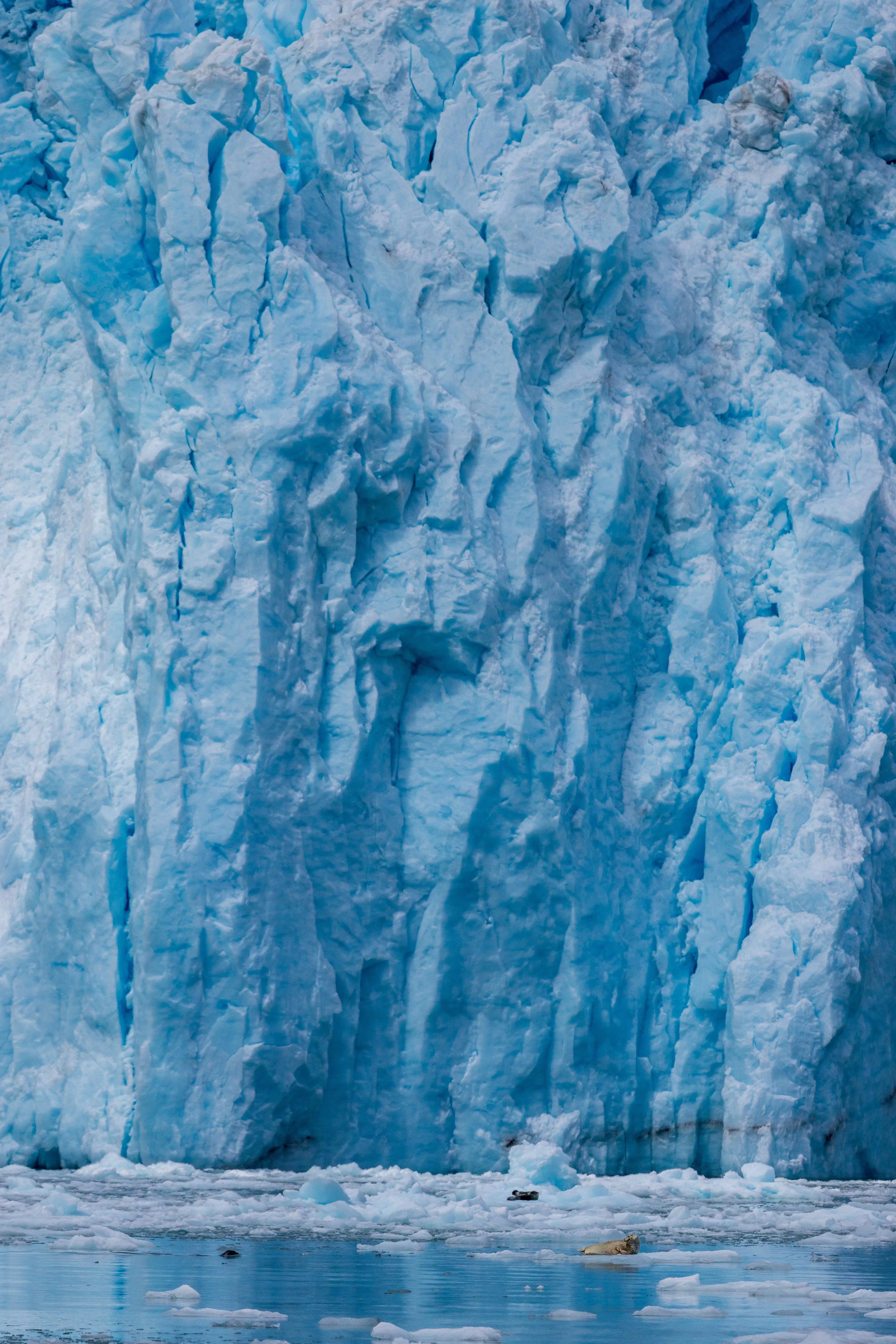 Ancient Ice — fine art landscape photography print by Paul Anderson, Kenai Fjords, Alaska