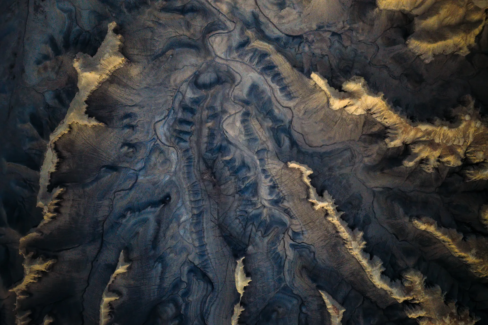 Desert Veins — fine art landscape photography print by Paul Anderson, Caineville, Utah