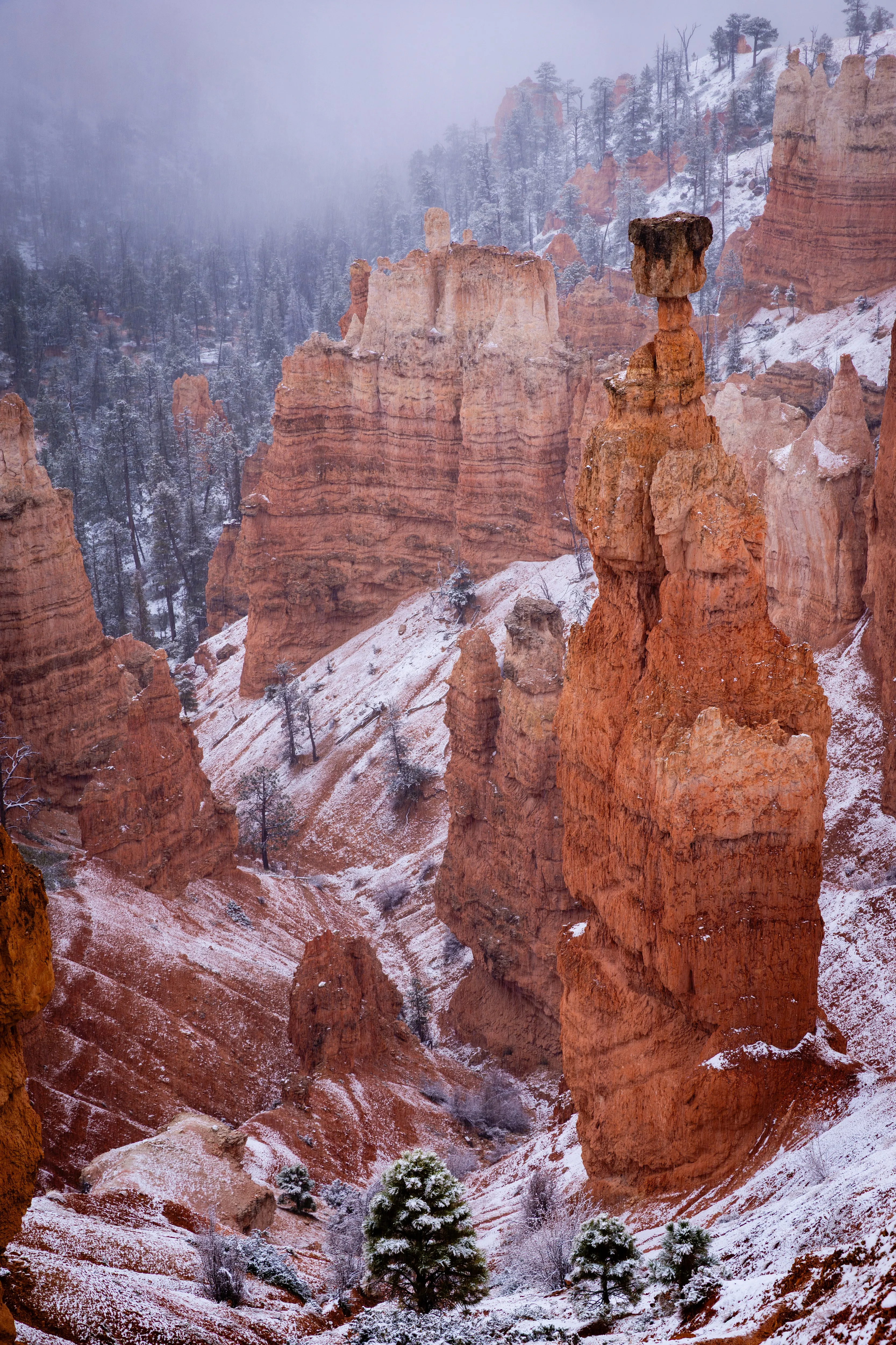 Cathedral of Stone — fine art landscape photography print by Paul Anderson, Bryce Canyon, Utah