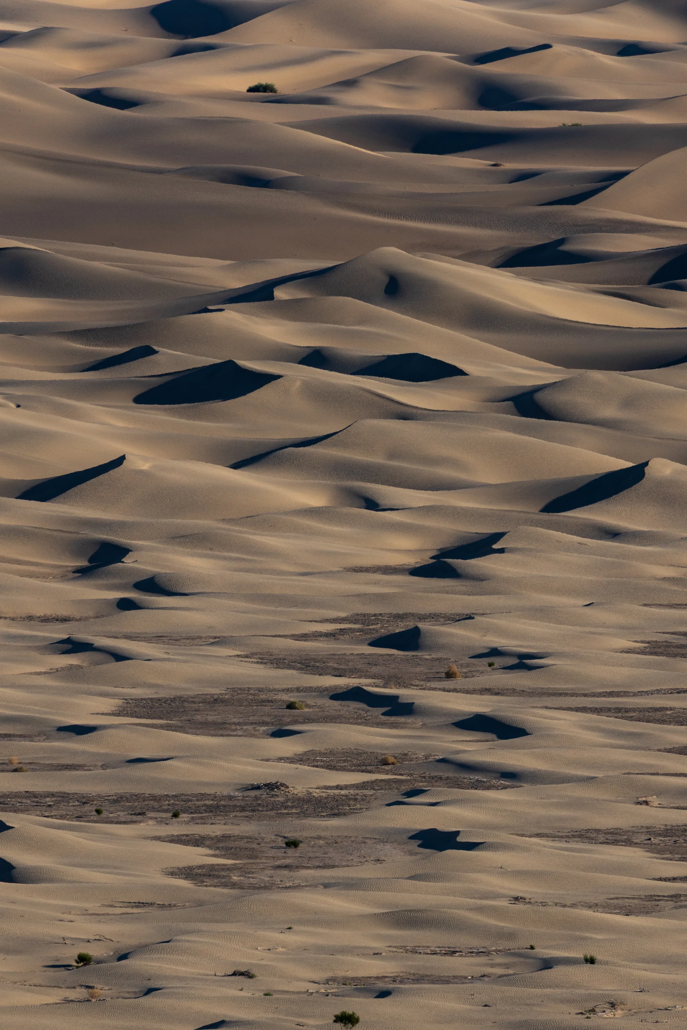 Dune Curves — fine art landscape photography print by Paul Anderson, Death Valley, California