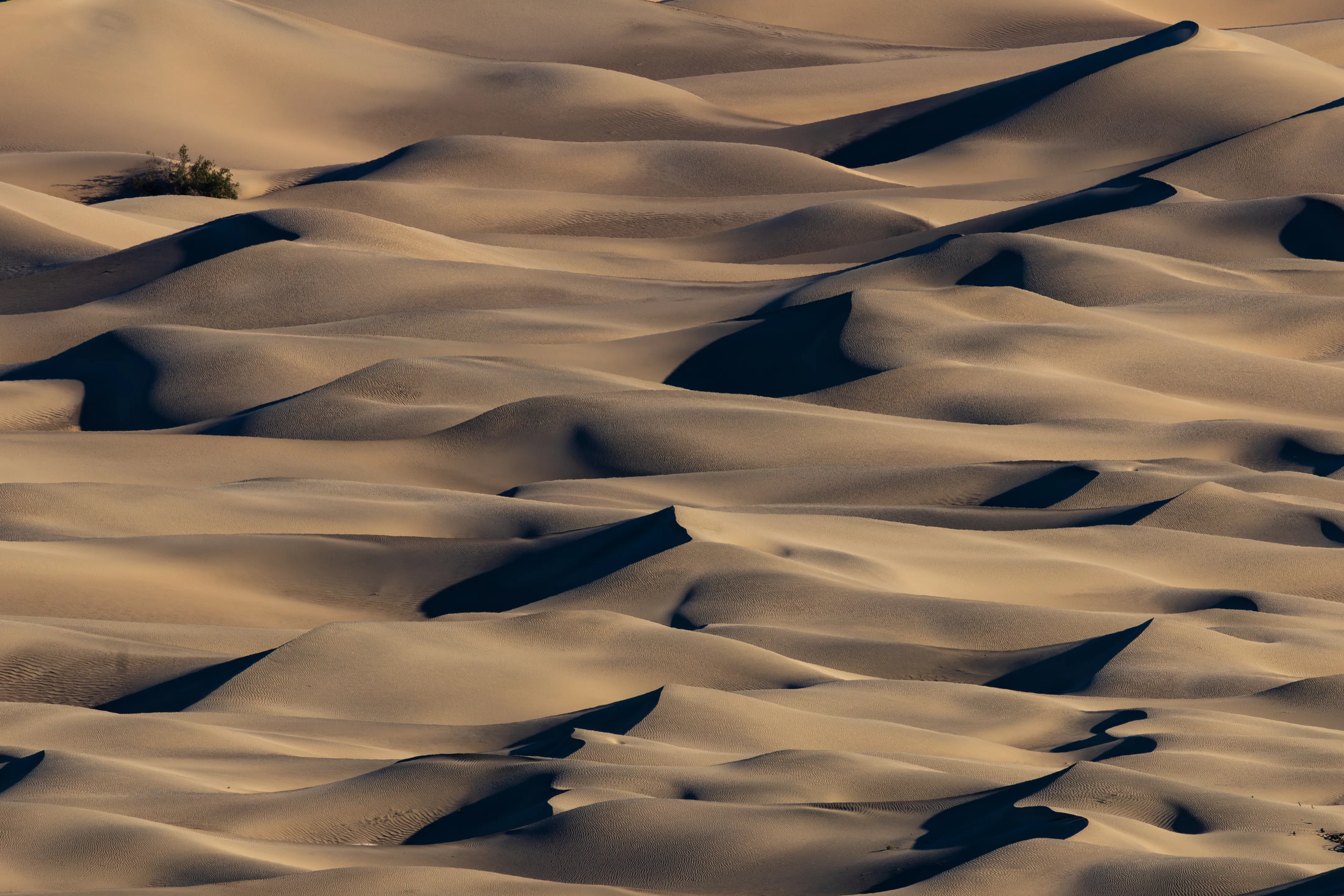 Dunes at Dusk — fine art landscape photography print by Paul Anderson, Death Valley, California