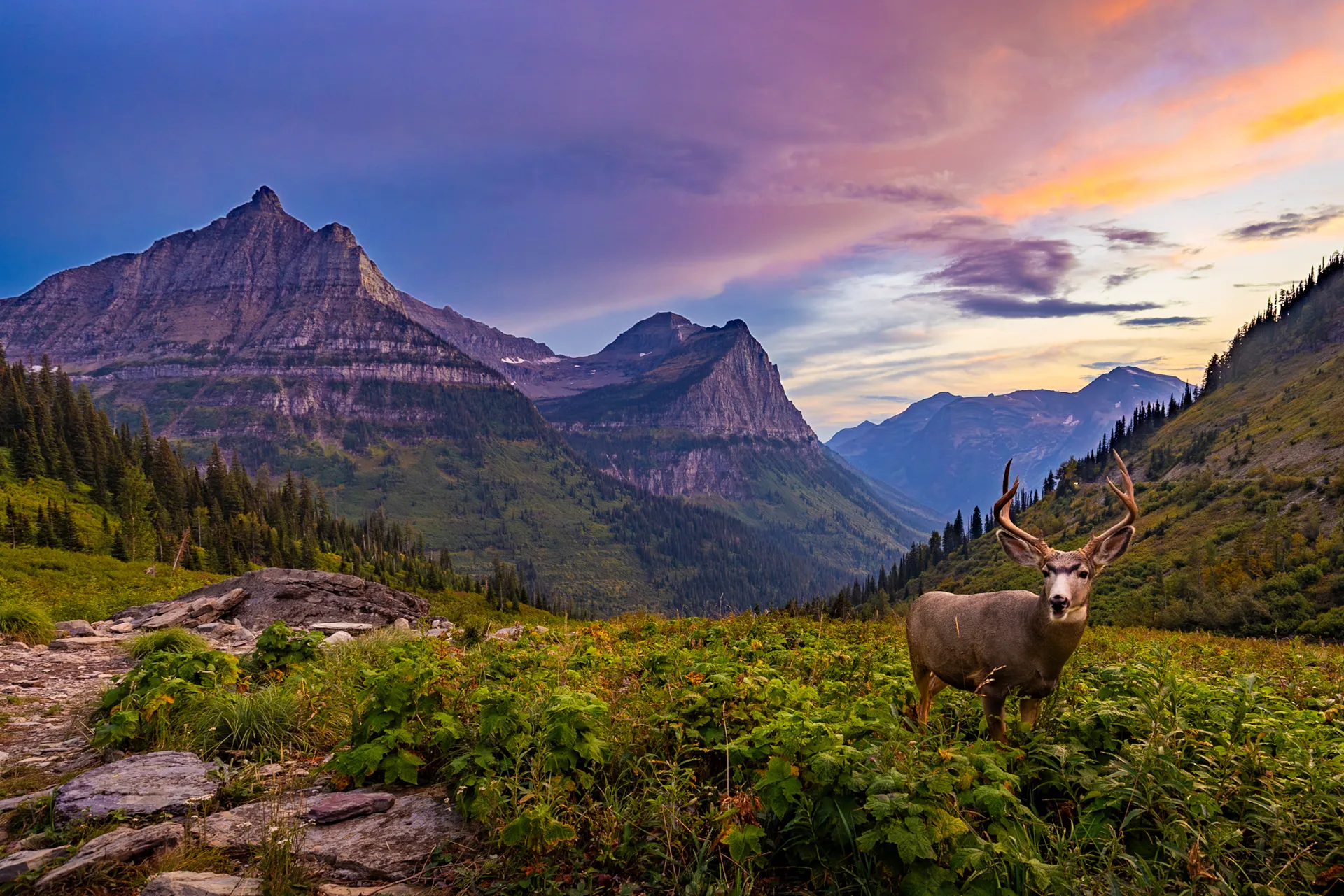 Evening in Glacier — fine art landscape photography print by Paul Anderson, Glacier National Park, Montana
